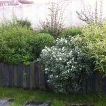 Piquet & Bordure de Schiste