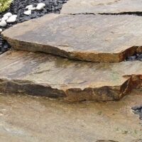 PJ 012-1 - PAS JAPONAIS DE GNEISS GEANTS