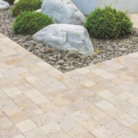 DAC 003 - Pavé en Travertin beige -15x15x3 cm